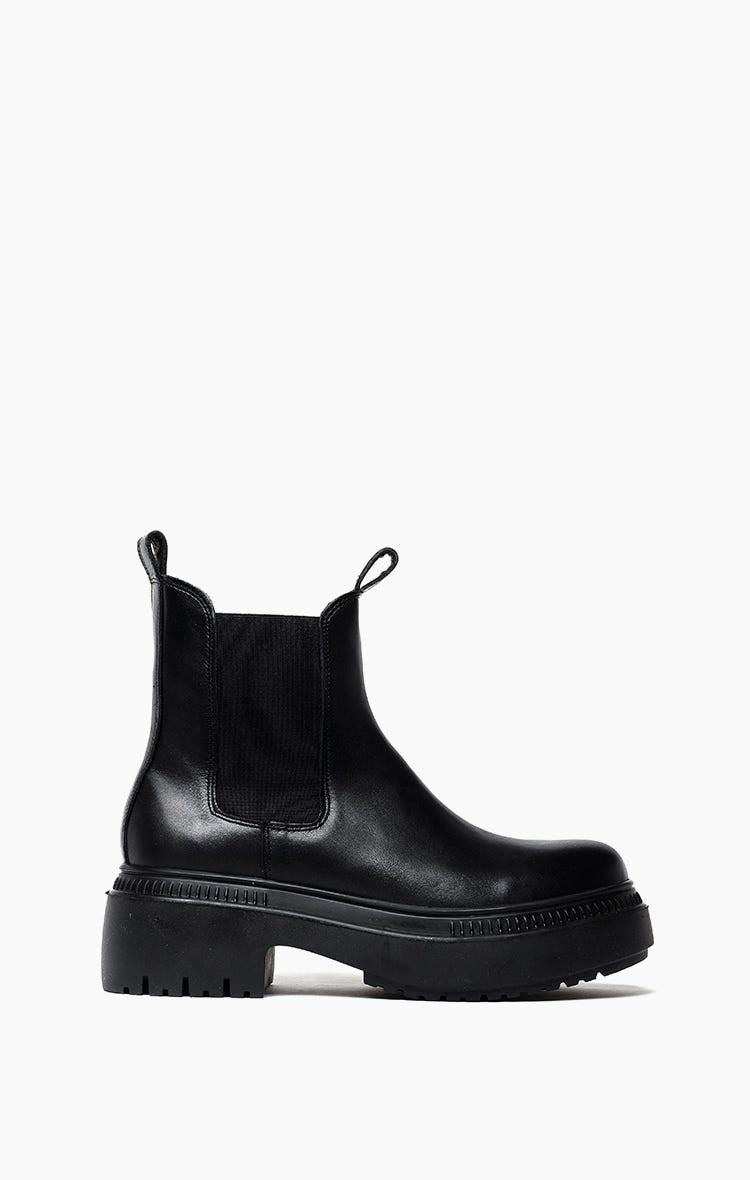 Borcego Pioneer