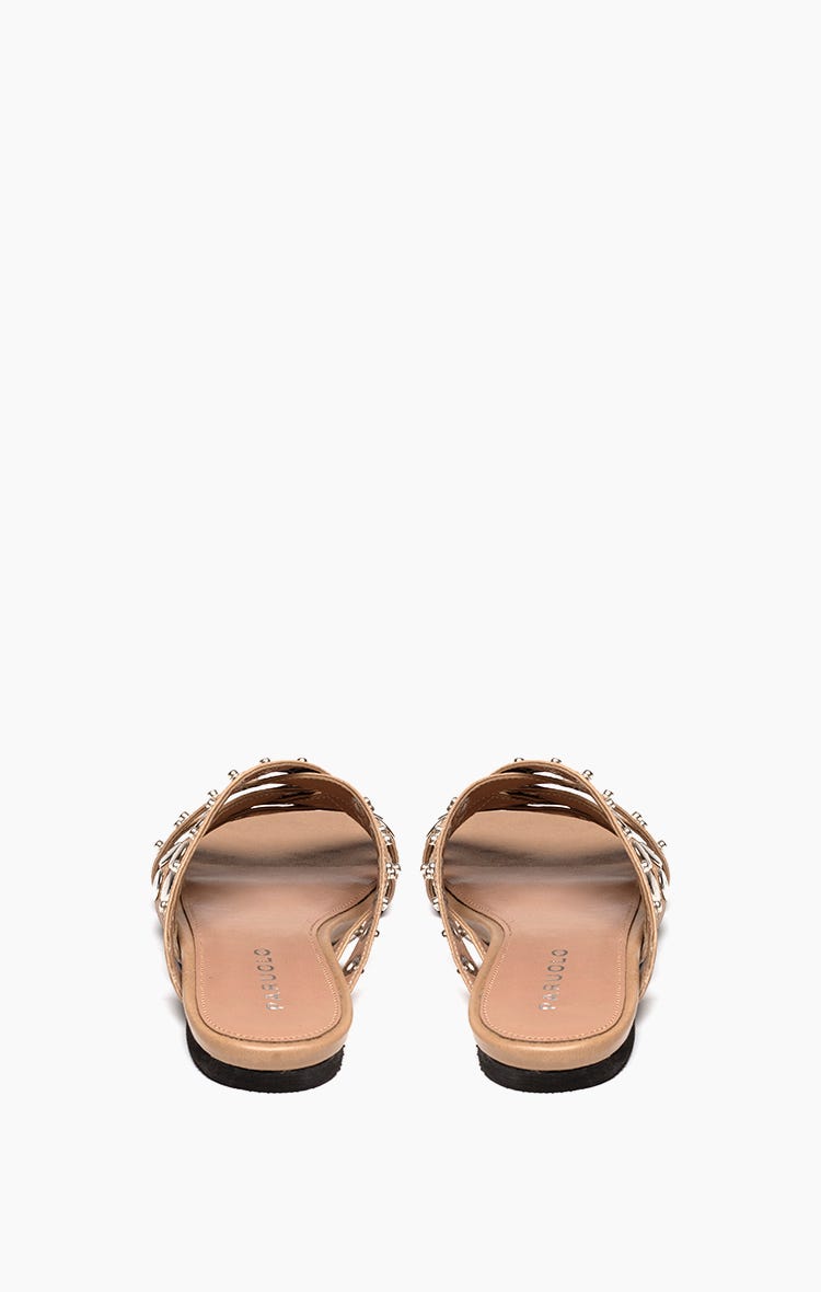 Flat Violette