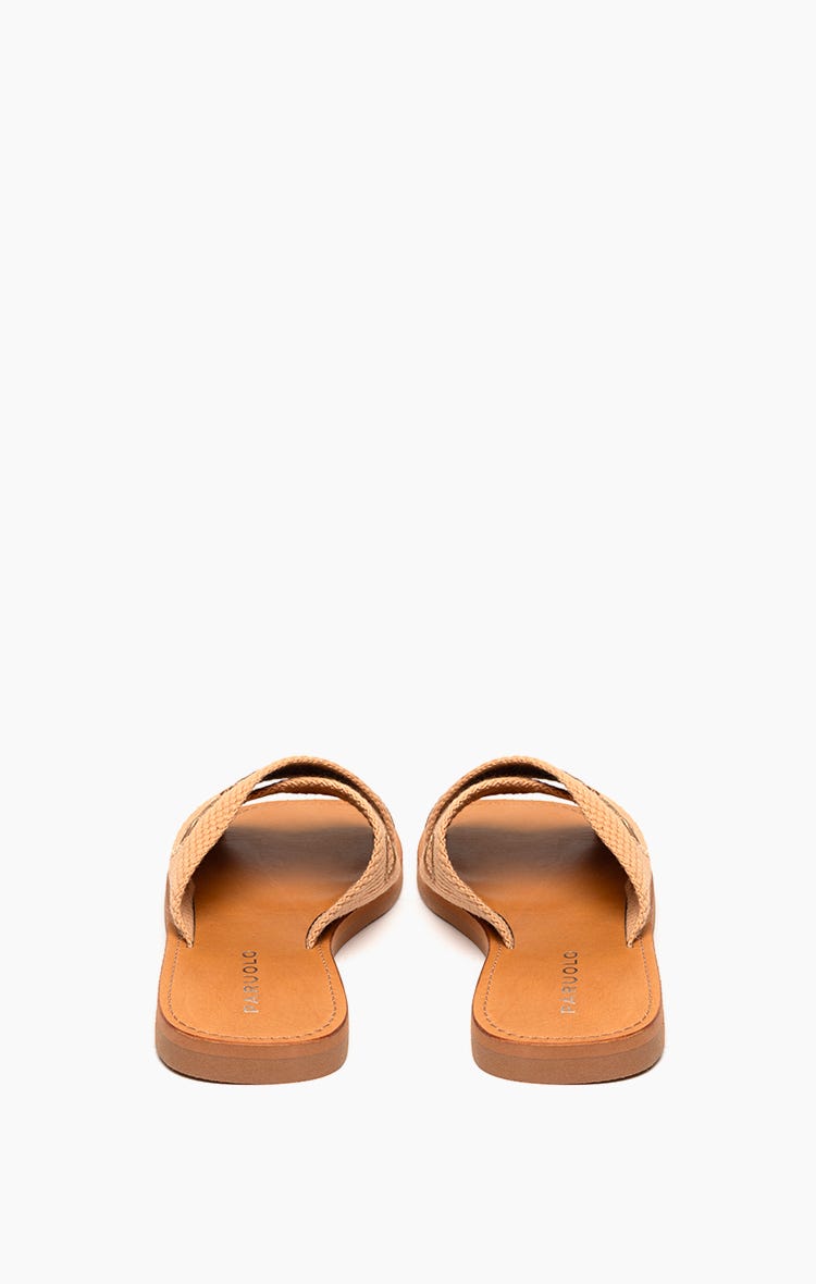Flat Calistta