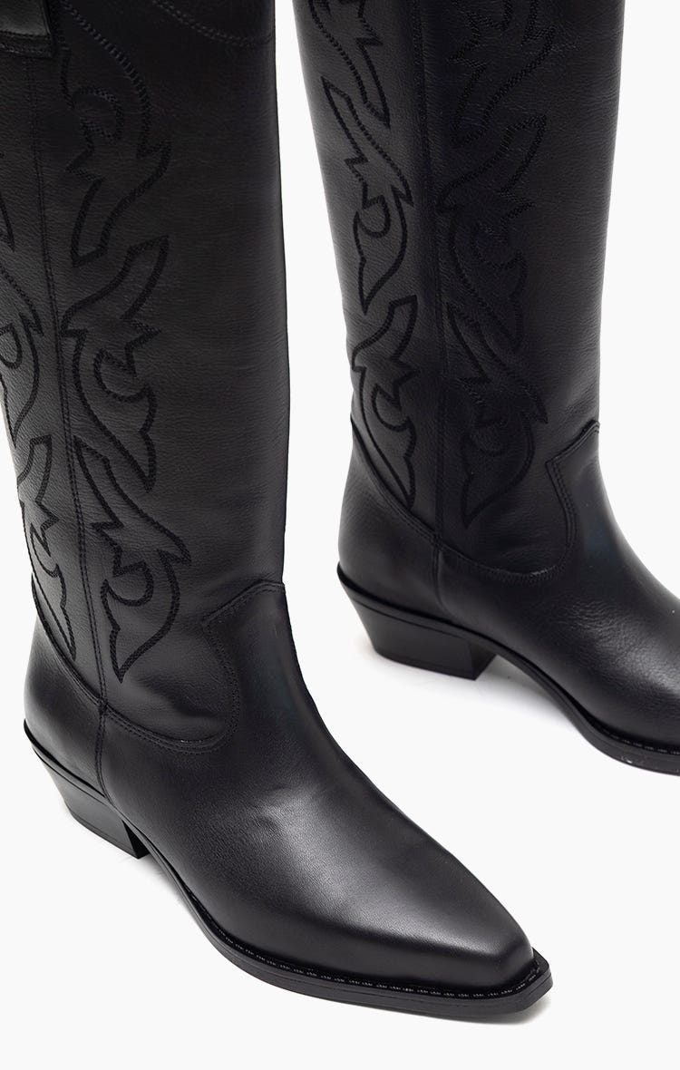 Texana Zinnia