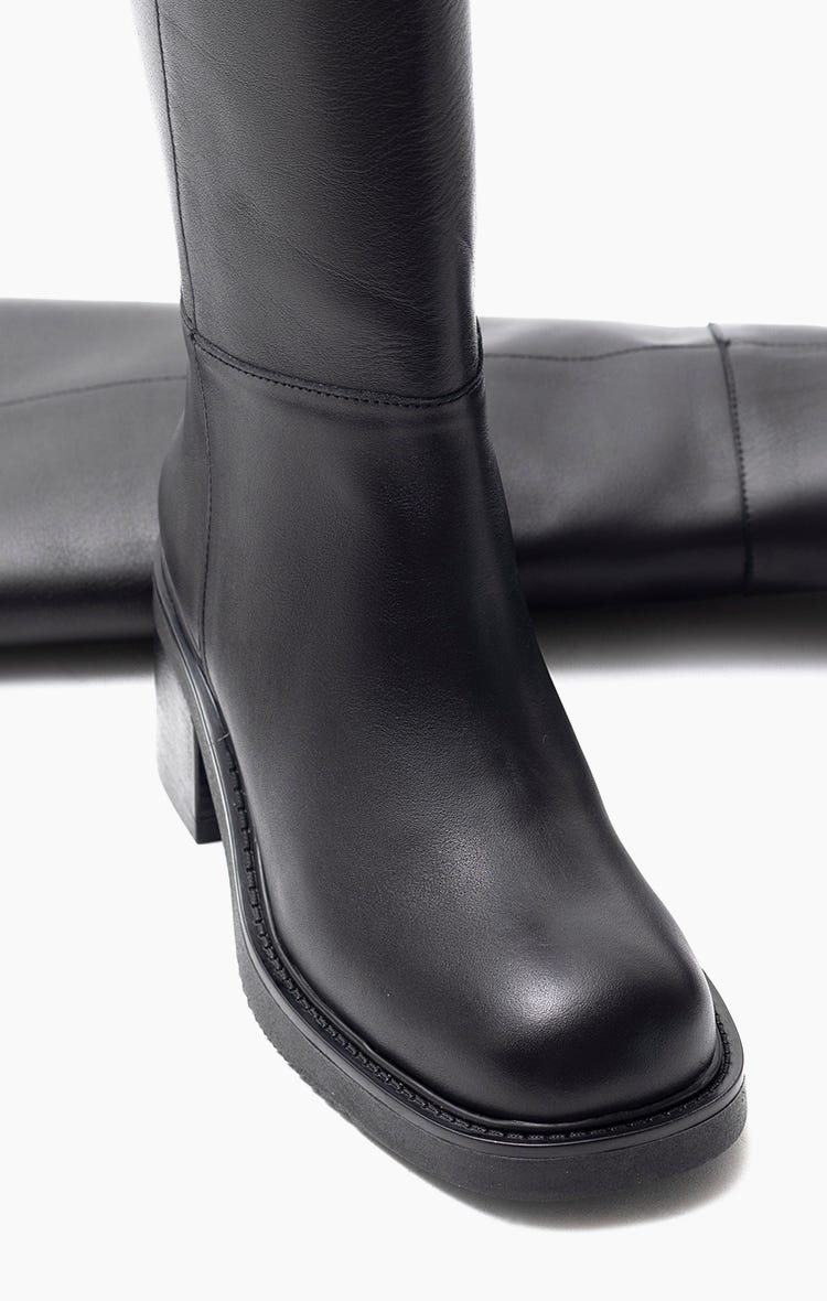 Bota Regency