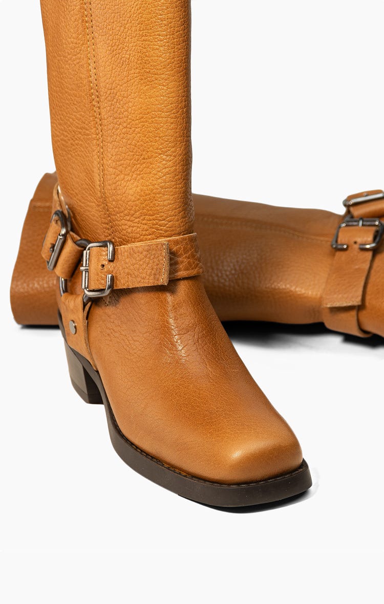 Bota Padina