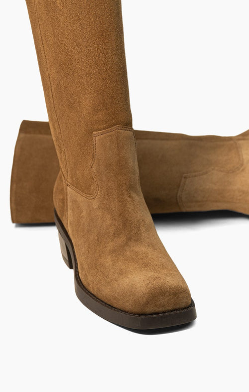 Bota Cymodocea