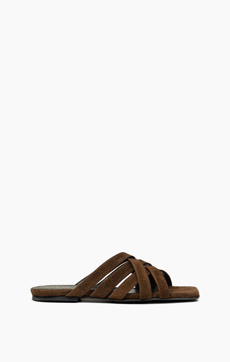Flat Azolla
