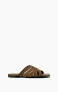 Flat Azolla